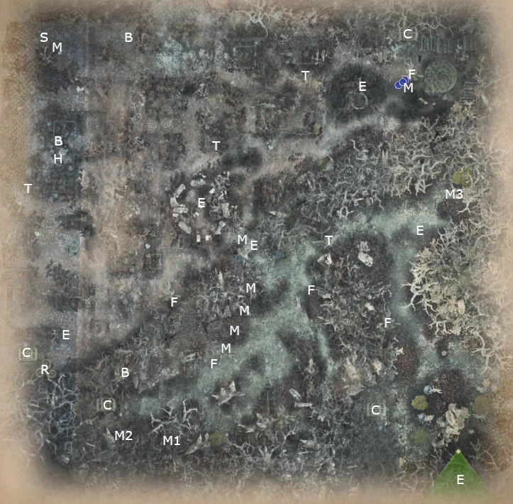 Map of Into the Deepwood mission from King Arthur Knight's Tale game.