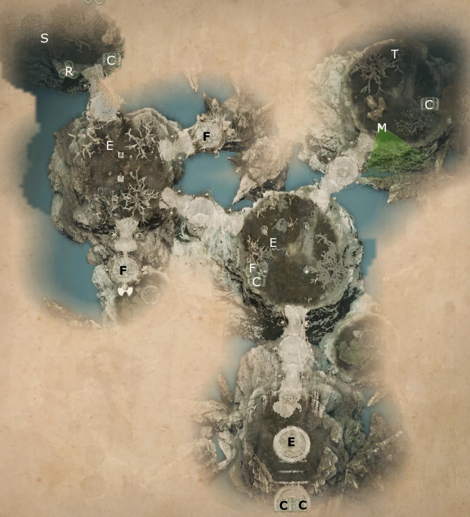 Map of Heart of the Deepwood from King Arthur Knight's Tale game.