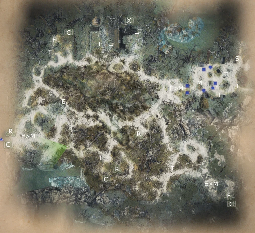 Map of The Beastmaster from King Arthur Knight's Tale game. 